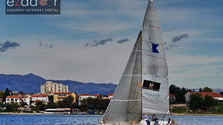 Zadarska koka 2017. Zadarska koka 2017.