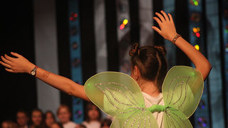 Benja fest 2011. (foto:Saša Čuka)