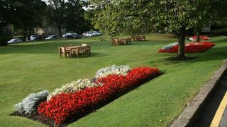 Image 1185585 (auto)