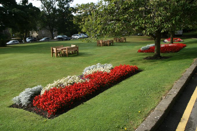 Image 1185585 (auto)