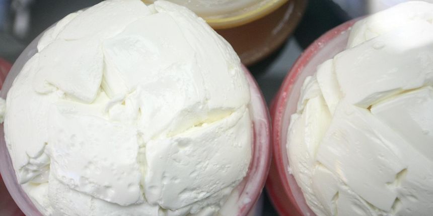 Svježi sir Svježi sir