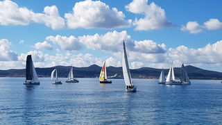 Zadarska Koka 2016. 22. listopada 2016. Foto: Mladen Malik Zadarska Koka 2016. 22. listopada 2016. Foto: Mladen Malik