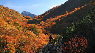 Paklenica: Boje jeseni, Foto: Mladen Radolovic Mrlja