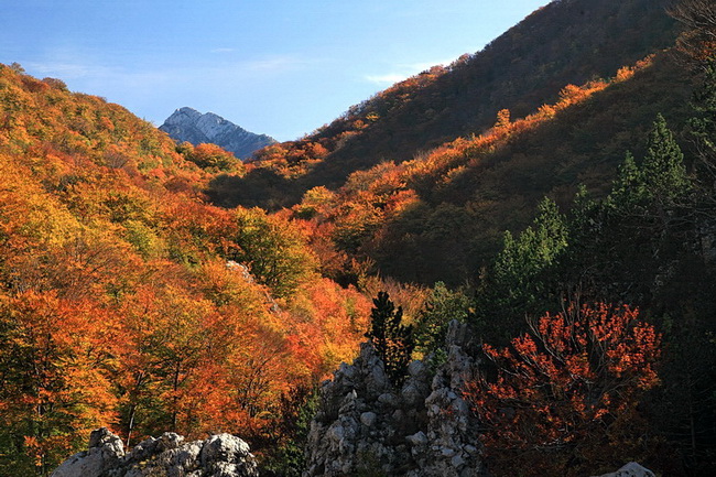 Paklenica: Boje jeseni, Foto: Mladen Radolovic Mrlja