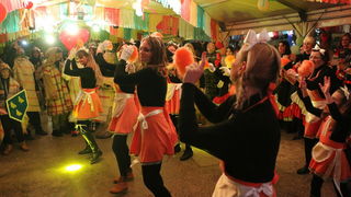 Virske maškare 2018: Defile maškaranih skupina i fešta uz “Koktelse”