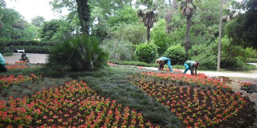 Nasadi, sadnja, perivoj