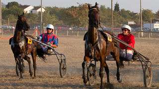 Polača: 14. Međunarodne konjičke utrke “Oluja 95”, Foto: Leo Banić Polača: 14. Međunarodne konjičke utrke “Oluja 95”, Foto: Leo Banić