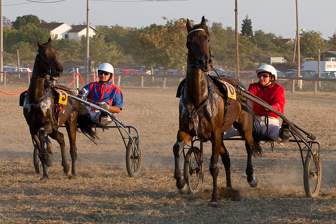 Polača: 14. Međunarodne konjičke utrke “Oluja 95”, Foto: Leo Banić Polača: 14. Međunarodne konjičke utrke “Oluja 95”, Foto: Leo Banić
