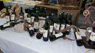 Eko etno Hrvatska Europa Tour, Zadar od 13. do 17. listopada 2010. Eko etno Hrvatska Europa Tour, Zadar od 13. do 17. listopada 2010.