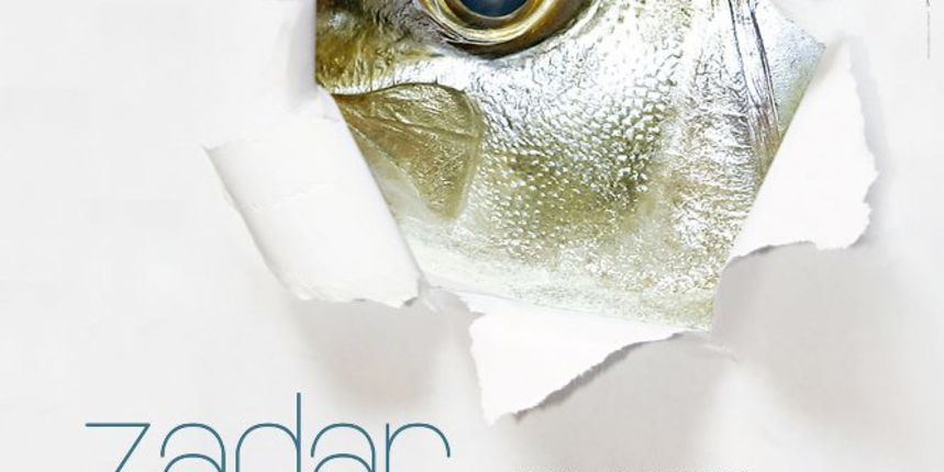 Program manifestacije Zadar more 2012. Program manifestacije Zadar more 2012.