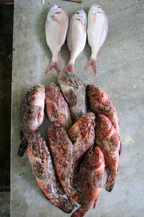 Image 1200507 (auto)