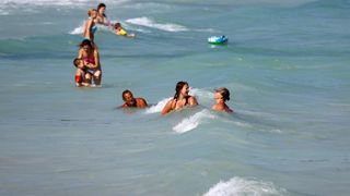 Ljetni dana na dugootočkoj plaži Sakarun, biseru Mediterana s prekrasnim tirkiznim morem, Foto: Filip Brala/PIXSELL Ljetni dana na dugootočkoj plaži Sakarun, biseru Mediterana s prekrasnim tirkiznim morem, Foto: Filip Brala/PIXSELL