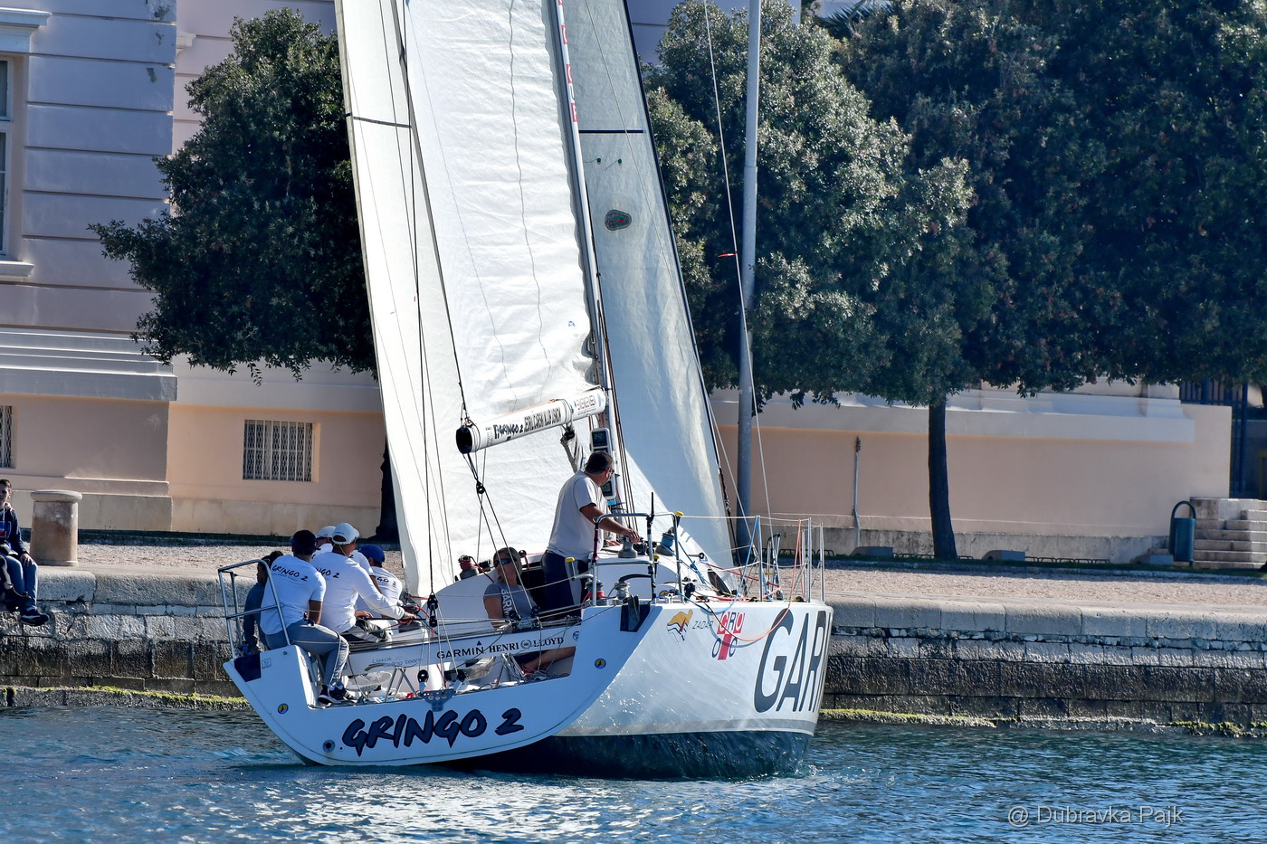 Sva lica “Zadarske koke” Sva lica “Zadarske koke”