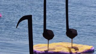 Svečano otvorena 2. Vrtna izložba “Cvijet Zadra” u organizaciji tvrtke Nasadi d.o.o. Foto: Dino Stanin/PIXSELL