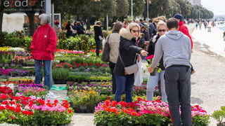 Đir po gradu 20. travnja 2017. Đir po gradu 20. travnja 2017.