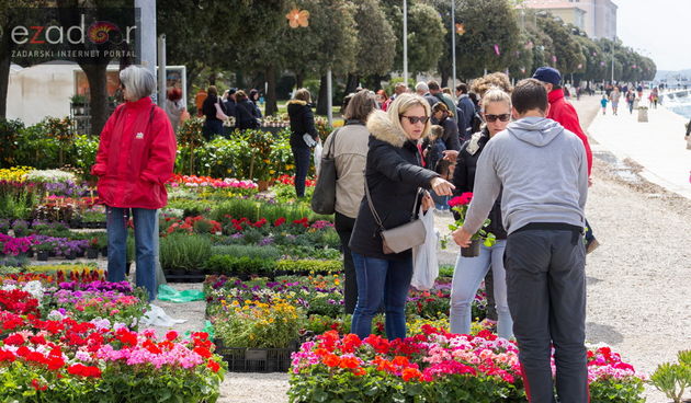 Đir po gradu 20. travnja 2017.