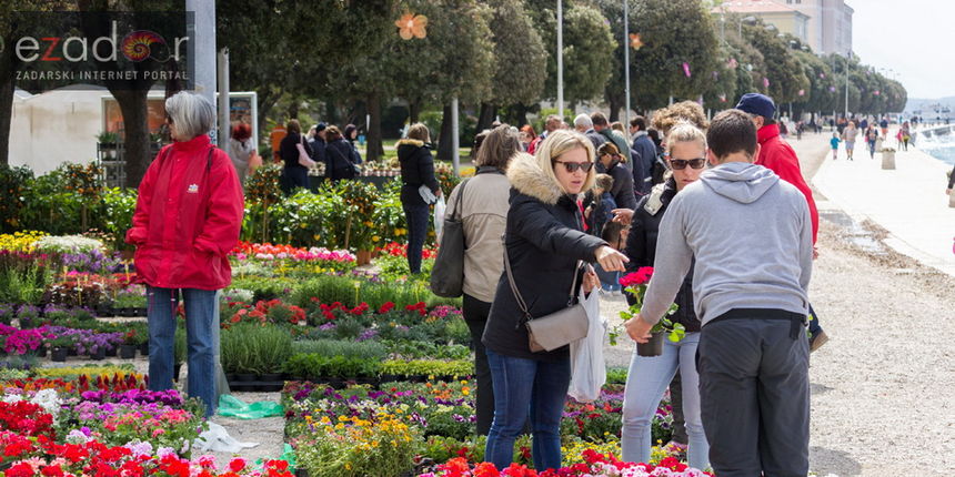Đir po gradu 20. travnja 2017.