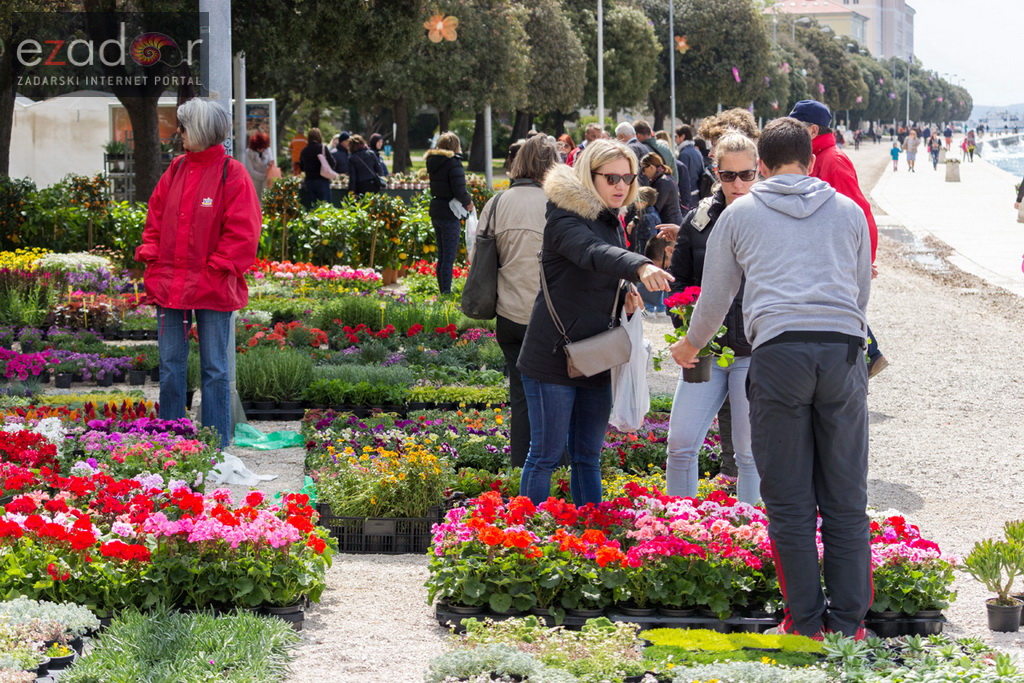 Đir po gradu 20. travnja 2017. Đir po gradu 20. travnja 2017.