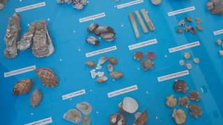 Otvorenje izložbe “Zagrljaj dubine” u Gradskoj loži, Foto: Leo Banić Otvorenje izložbe “Zagrljaj dubine” u Gradskoj loži, Foto: Leo Banić