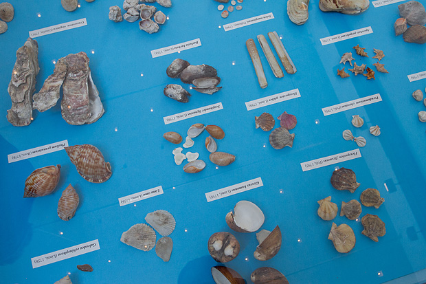 Otvorenje izložbe “Zagrljaj dubine” u Gradskoj loži, Foto: Leo Banić Otvorenje izložbe “Zagrljaj dubine” u Gradskoj loži, Foto: Leo Banić