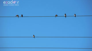 Nedjeljno svitanje na Vranskom jezeru Nedjeljno svitanje na Vranskom jezeru