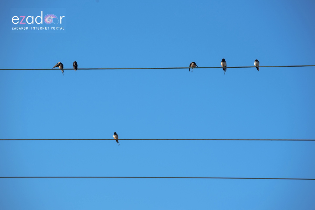 Nedjeljno svitanje na Vranskom jezeru Nedjeljno svitanje na Vranskom jezeru