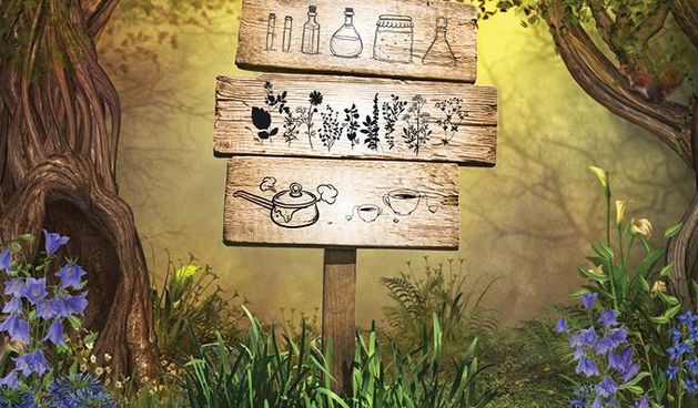 PD Paklenica organizira radionicu samoniklog bilja “Putokaz u Herbageu”