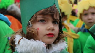 Virski karnevalić 2016. Virski karnevalić 2016.