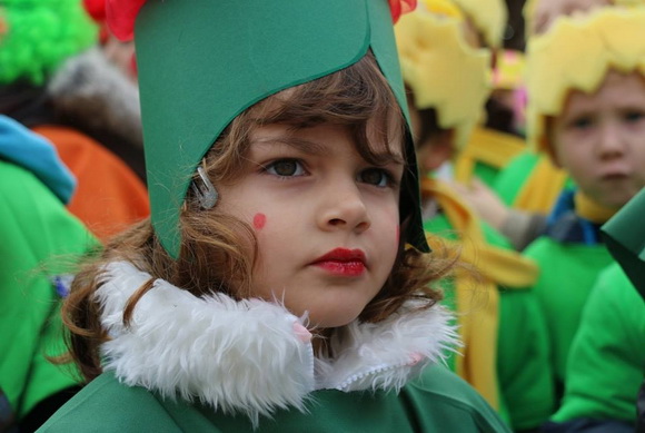 Virski karnevalić 2016. Virski karnevalić 2016.
