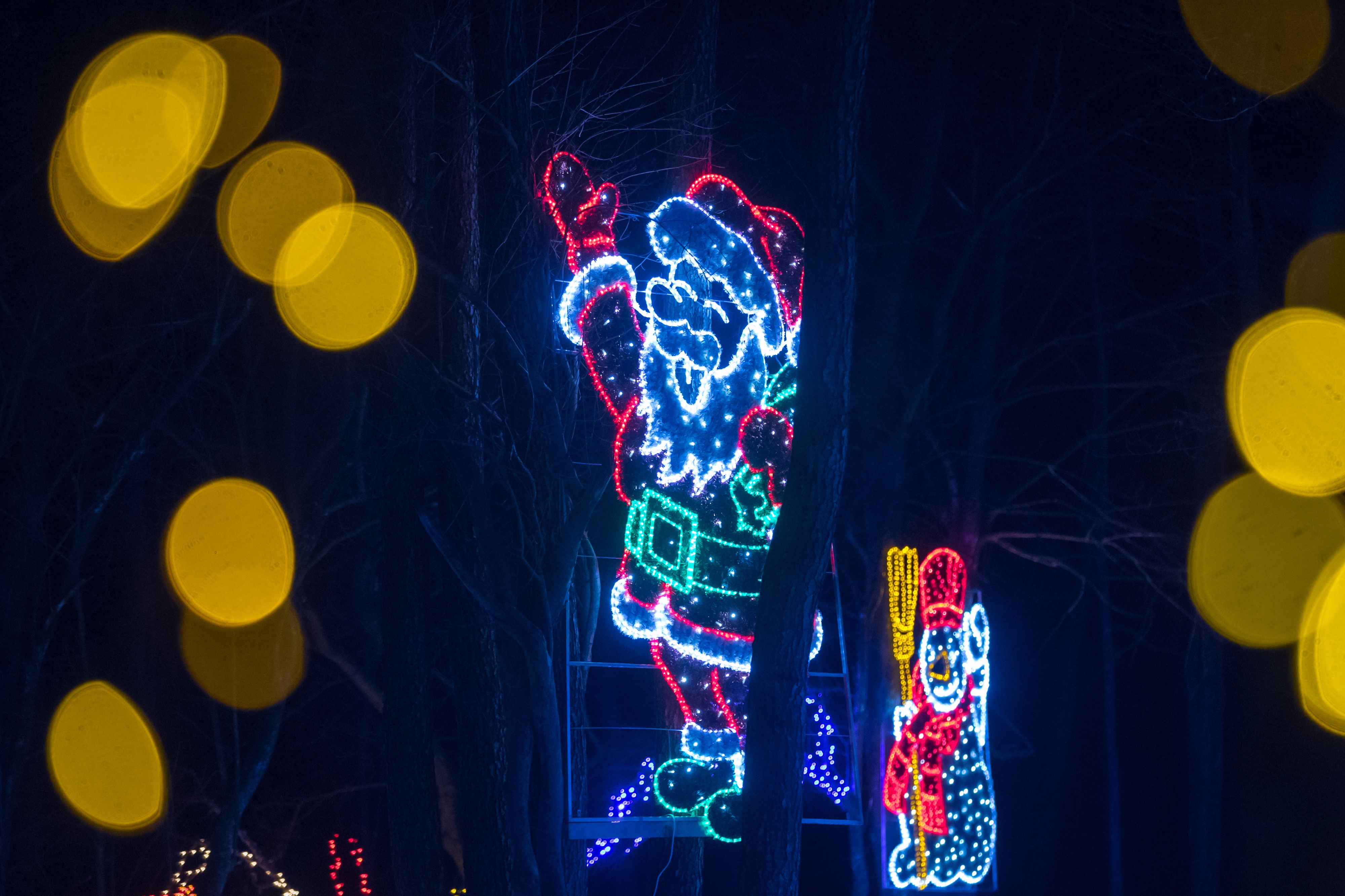 Još raskošnije izdanje: pogledajte kako izgleda Božićna priča obitelji Salaj gdje je ove godine zasjalo rekordnih 2.5 milijuna lampica