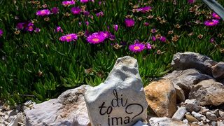 Nedjeljnja šetnja od Dikla do Pinije, Foto: Mladen Radolović Mrlja Nedjeljnja šetnja od Dikla do Pinije, Foto: Mladen Radolović Mrlja