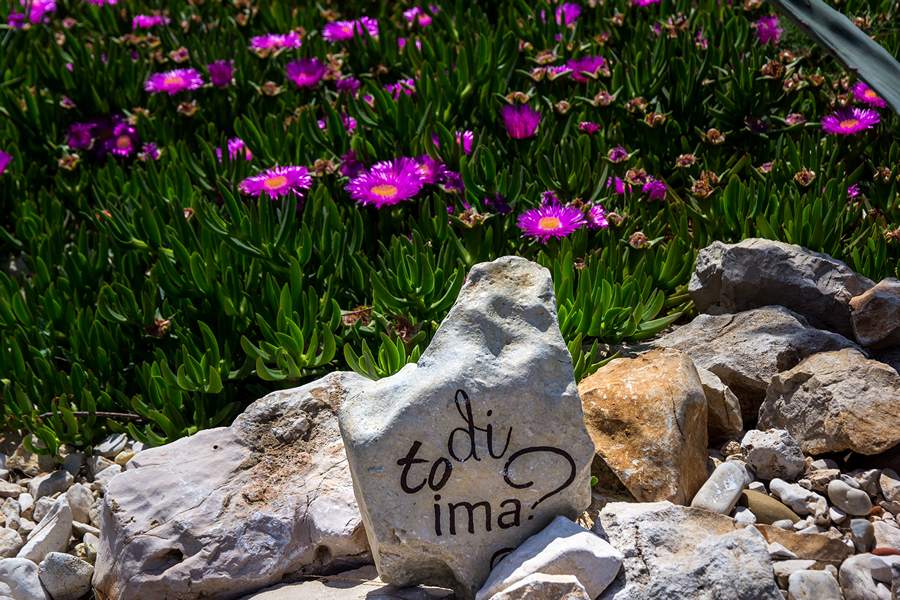 Nedjeljnja šetnja od Dikla do Pinije, Foto: Mladen Radolović Mrlja Nedjeljnja šetnja od Dikla do Pinije, Foto: Mladen Radolović Mrlja