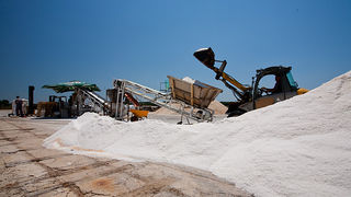 Solana Nin, berba soli, foto: Leo Banić