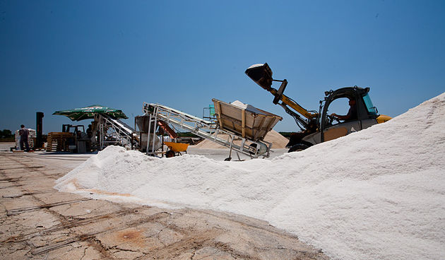 Solana Nin, berba soli, foto: Leo Banić