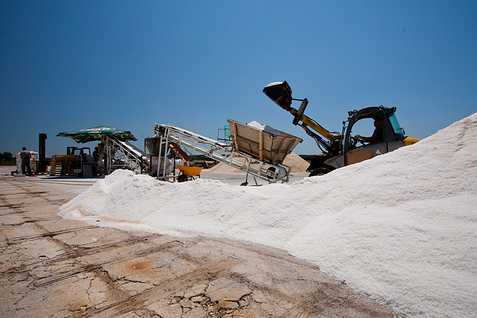 Solana Nin, berba soli, foto: Leo Banić