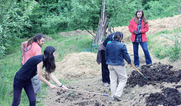 Lost Theory Permakultura