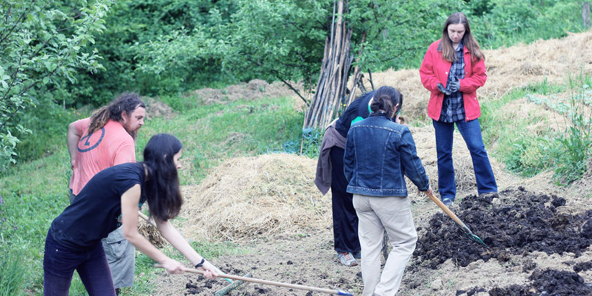 Lost Theory Permakultura