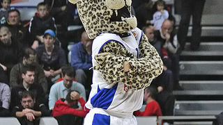 KK Zadar – KK Split (foto: Marin Gospić)