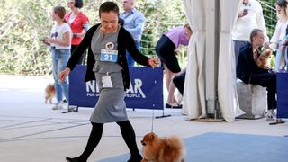 Međunarodna izložba pasa CACIB 2023