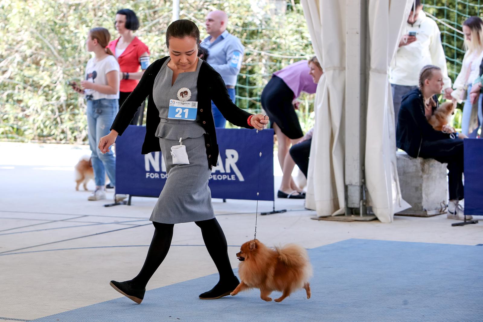 Međunarodna izložba pasa CACIB 2023