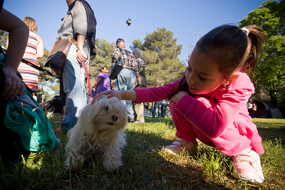 Međunarodna izložba pasa “CACIB ZADAR 2012” Međunarodna izložba pasa “CACIB ZADAR 2012”