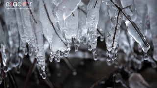 Zimska idila u Parku prirode Vransko jezero Zimska idila u Parku prirode Vransko jezero
