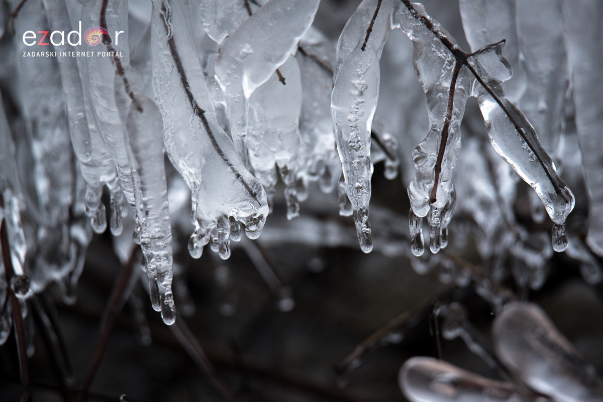 Zimska idila u Parku prirode Vransko jezero Zimska idila u Parku prirode Vransko jezero