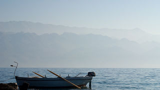 Image 1194605 (auto)