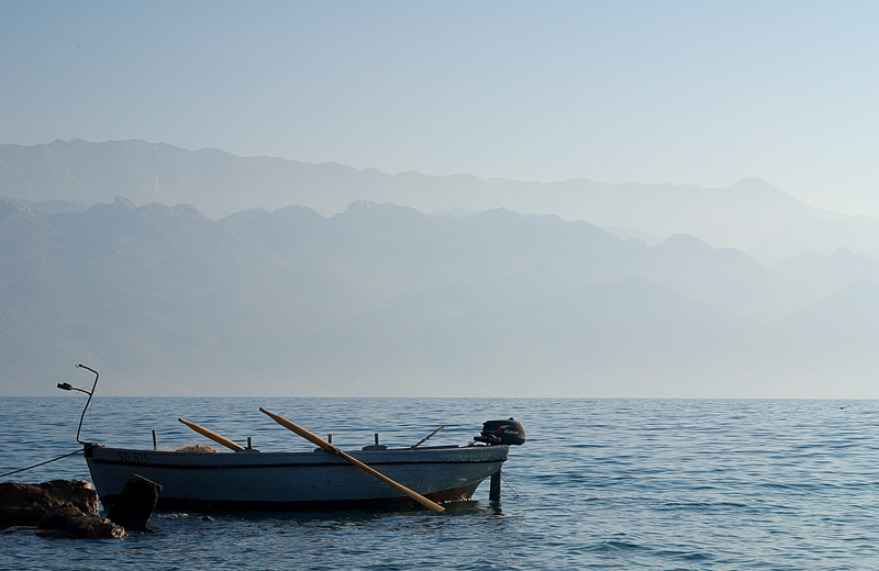 Image 1194605 (auto)