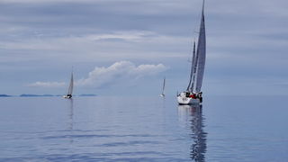 Image 441255 (auto) Image 441255 (auto)