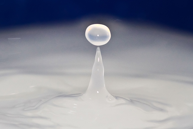 Čudesne kapi, foto: Leo Banić