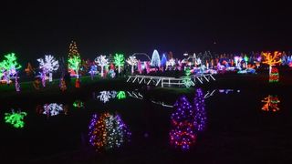 Božićna priča obitelji Salaj s rekordnih 1,88 milijuna lampica. Foto: Damir Špehar/PIXSELL