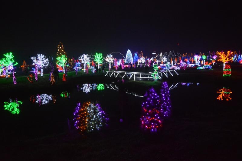 Božićna priča obitelji Salaj s rekordnih 1,88 milijuna lampica. Foto: Damir Špehar/PIXSELL