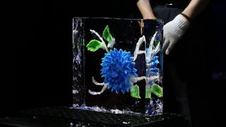 4. Tuna, Sushi & Wine festival otvoren gala večerom u Arsenalu 4. Tuna, Sushi & Wine festival otvoren gala večerom u Arsenalu